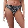 Grey Leopard